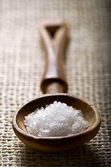 Image showing sea salt