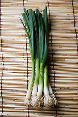 Image showing Spring onions