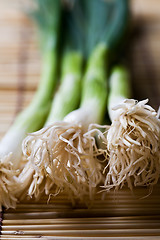 Image showing Spring onions