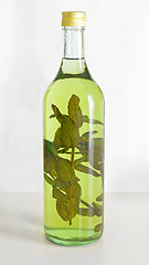 Image showing Herbs Liqueur