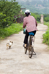 Image showing Woman on Bicycle with Dog