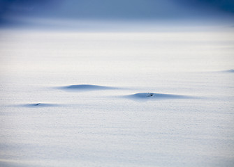 Image showing Smooth snow background
