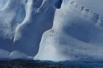 Image showing Icebergs in Antarctica