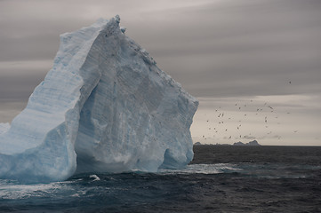 Image showing Icebergs in Antarctica