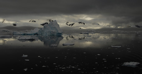 Image showing Icebergs in Antarctica