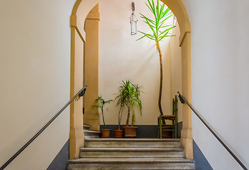 Image showing Stairs, plants and a chair