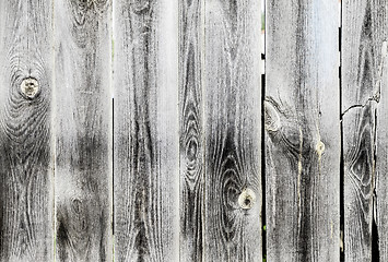 Image showing Texture of wood background closeup