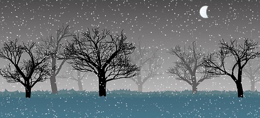 Image showing forest in the dark mist, snow, trees silhouettes