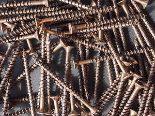 Image showing Wood screw