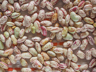 Image showing Crimson beans vegetables background