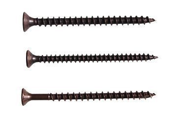 Image showing Wood screw isolated