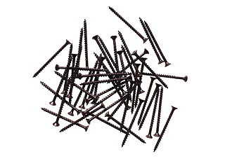 Image showing Wood screw