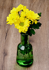 Image showing Yellow Chrysanthemum