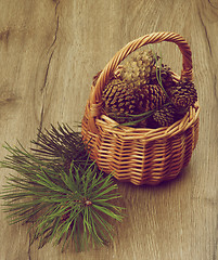 Image showing Fir Cones and Branches