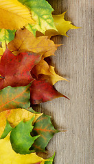 Image showing Frame of Autumn Leafs