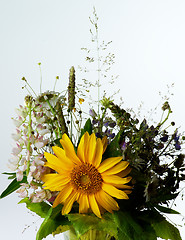 Image showing Wildflower Bouquet