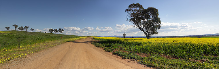 Image showing On the road less travelled Canowindra Australia