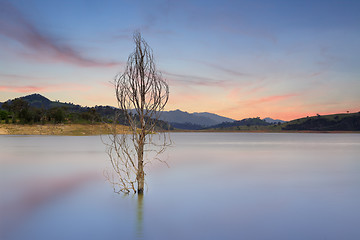 Image showing Wyangala Waters Australia