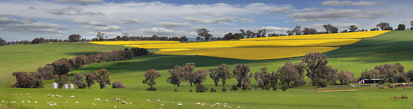 Image showing Green pastures and fields of Gold