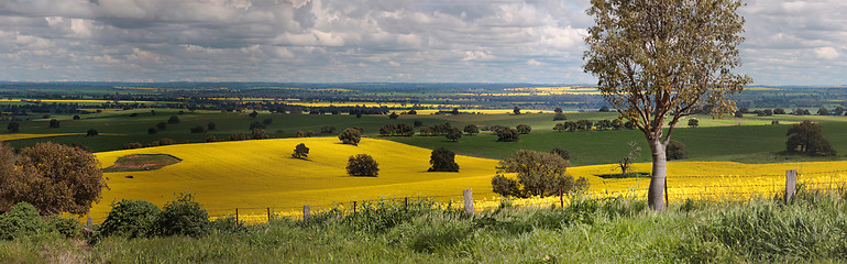 Image showing Rural farmlands panorama