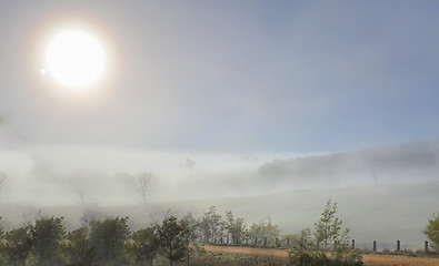 Image showing Winter sun in foggy landscape