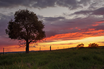 Image showing Sunset Greenthorpe Australia