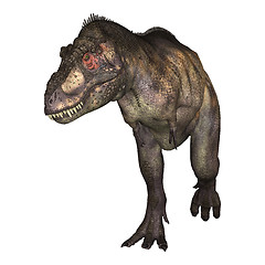 Image showing Dinosaur Tyrannosaurus