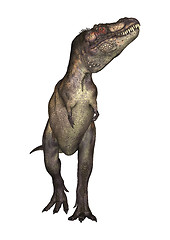 Image showing Dinosaur Tyrannosaurus