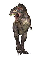 Image showing Dinosaur Tyrannosaurus