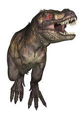 Image showing Dinosaur Tyrannosaurus