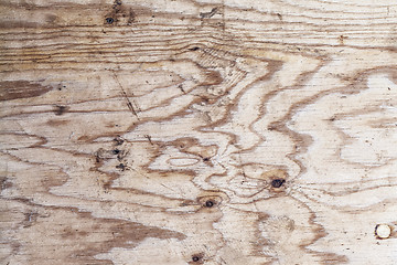 Image showing Texture of wood background closeup