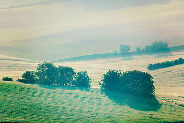 Image showing Moravian rolling fields in morning mist