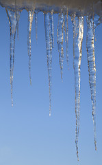 Image showing Icicles