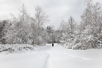 Image showing Winter alley