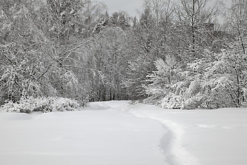 Image showing Winter alley