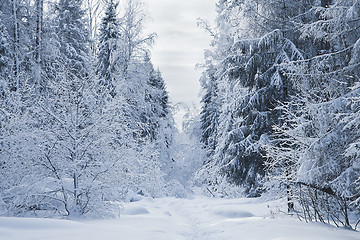 Image showing Winter alley