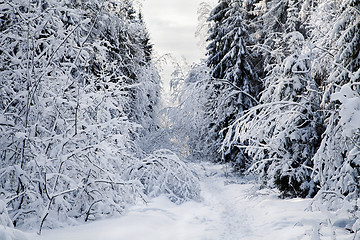 Image showing Winter alley