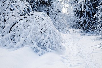 Image showing Winter alley