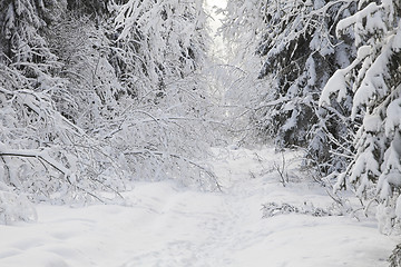 Image showing Winter alley