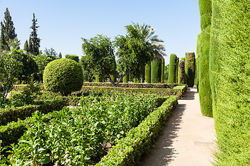 Image showing Italian Garden