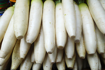 Image showing Ripe white radish root 