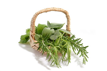 Image showing Aromatic Herbs