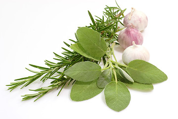 Image showing Bouquet Garni