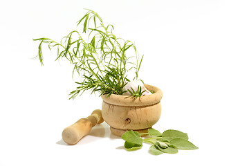 Image showing Mortar with Herbs