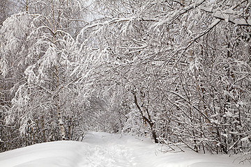 Image showing Winter alley