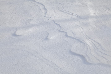 Image showing Snow crust