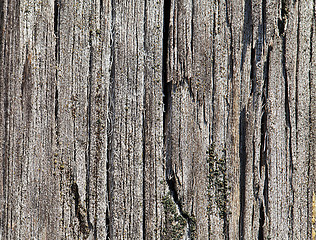 Image showing Old cracked wood