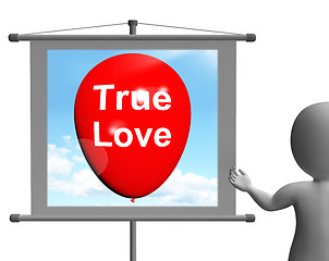Image showing True Love Sign Represents Lovers and Couples