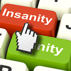 Image showing Insanity Sanity Keys Shows Sane And Insane Psychology
