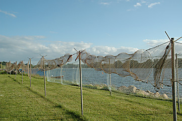 Image showing Fishing nets